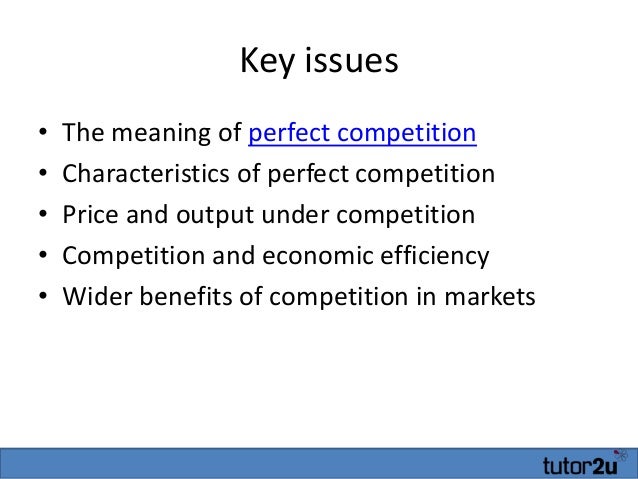 Perfect competition essay