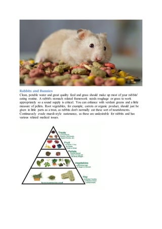 Rabbits and Bunnies
Clean, potable water and great quality feed and grass should make up most of your rabbits'
eating routine. A rabbit's stomach related framework needs roughage or grass to work
appropriately so a sound supply is critical. You can enhance with verdant greens and a little
measure of pellets. Root vegetables, for example, carrots or organic product, should just be
given in little parts as a treat, as rabbits don't normally eat these sort of nourishments.
Continuously evade muesli-style sustenance, as these are undesirable for rabbits and has
various related medical issues.
 