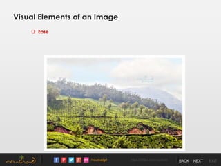 /noushadgd https://500px.com/noushad BACK NEXT EXIT
Visual Elements of an Image
 Ease
 