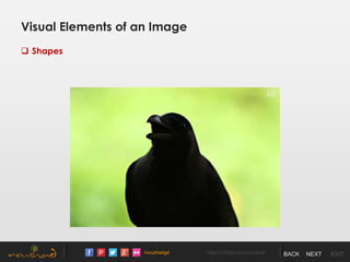 /noushadgd https://500px.com/noushad BACK NEXT EXIT
Visual Elements of an Image
 Shapes
 