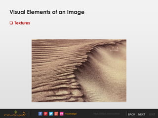 /noushadgd https://500px.com/noushad BACK NEXT EXIT
Visual Elements of an Image
 Textures
 
