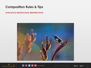 /noushadgd https://500px.com/noushad BACK NEXT EXIT
Composition Rules & Tips
ACTIVE SPACE, NEGATIVE SPACE, BREATHING SPACE
 