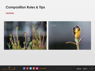 /noushadgd https://500px.com/noushad BACK NEXT EXIT
Composition Rules & Tips
CROPPING
 