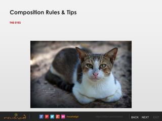 /noushadgd https://500px.com/noushad BACK NEXT EXIT
Composition Rules & Tips
THE EYES
 