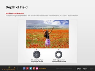 /noushadgd https://500px.com/noushad BACK NEXT EXIT
Small vs Large Aperture
Manipulating the aperture is the easiest and most often utilized means to adjust Depth of Field.
Depth of Field
 