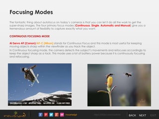 /noushadgd https://500px.com/noushad BACK NEXT EXIT
Focusing Modes
The fantastic thing about autofocus on today’s cameras is that you can let it do all the work to get the
super-sharp images. The four primary focus modes (Continuous, Single, Automatic and Manual) give you a
tremendous amount of flexibility to capture exactly what you want.
CONTINUOUS FOCUSING MODE
AI Servo AF (Canon)/AF-C (Nikon) stands for Continuous Focus and this mode is most useful for keeping
moving objects sharp within the viewfinder as you track the object.
In Continuous focusing mode, the camera detects the subject’s movements and refocuses accordingly to
keep the object sharp as a tack. This mode uses a lot of battery power because it is continuously focusing
and refocusing.
 