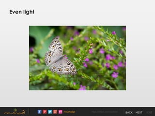 /noushadgd https://500px.com/noushad BACK NEXT EXIT
Even light
 