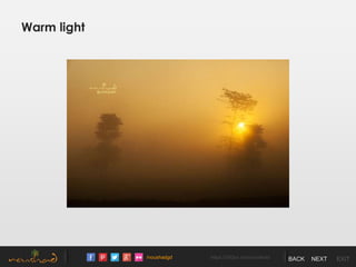 /noushadgd https://500px.com/noushad BACK NEXT EXIT
Warm light
 