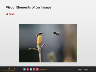 /noushadgd https://500px.com/noushad BACK NEXT EXIT
Visual Elements of an Image
 Point
 