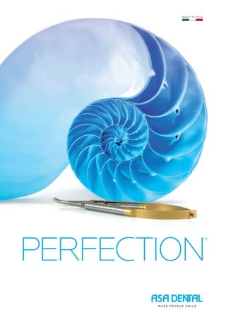 PERFECTION
®
 