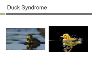 Duck Syndrome
 