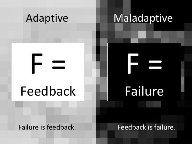 Adaptive Maladaptive Harsh Forgiving