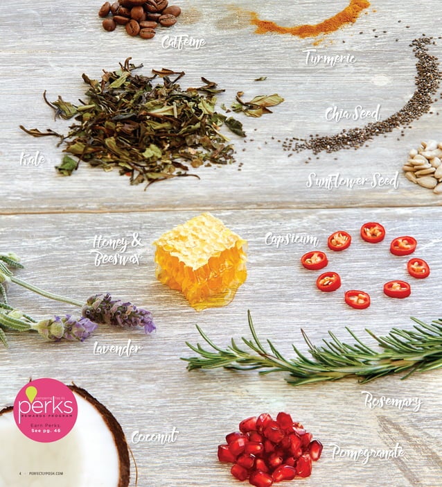 Perfectly Posh Catalog PDF Skin Care Beauty