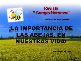 Revista  “  Campo Hermoso” Presenta en esta edición:  29 de Mayo del 2009 