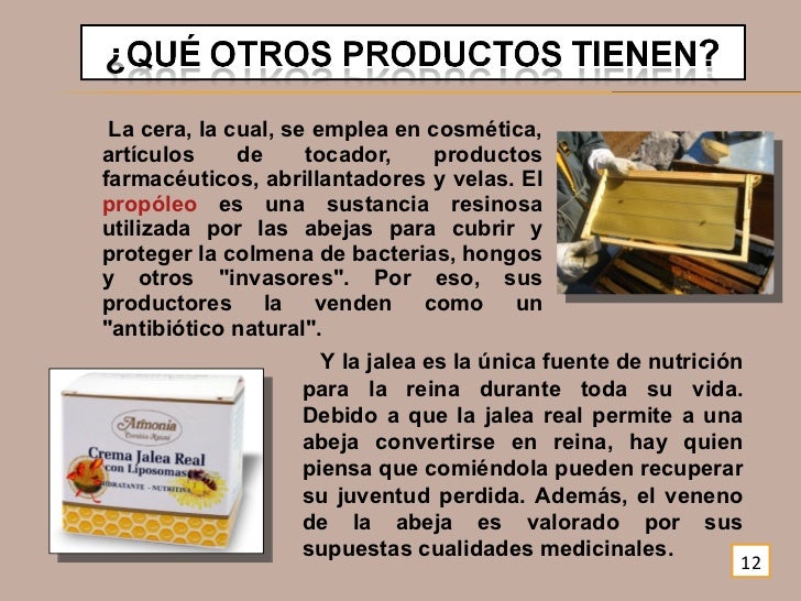 La leche del cerdo y el alcoholismo