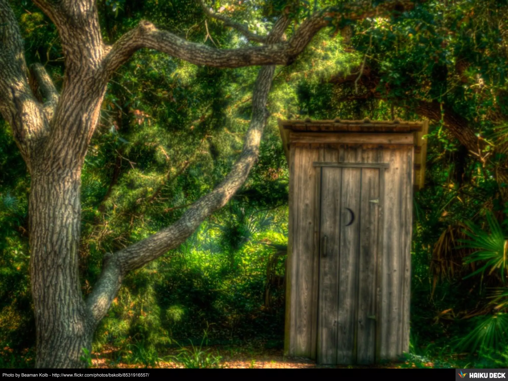 Photo by Beaman Kolb - http://www.flickr.com/photos/bskolb/8531916557/
 