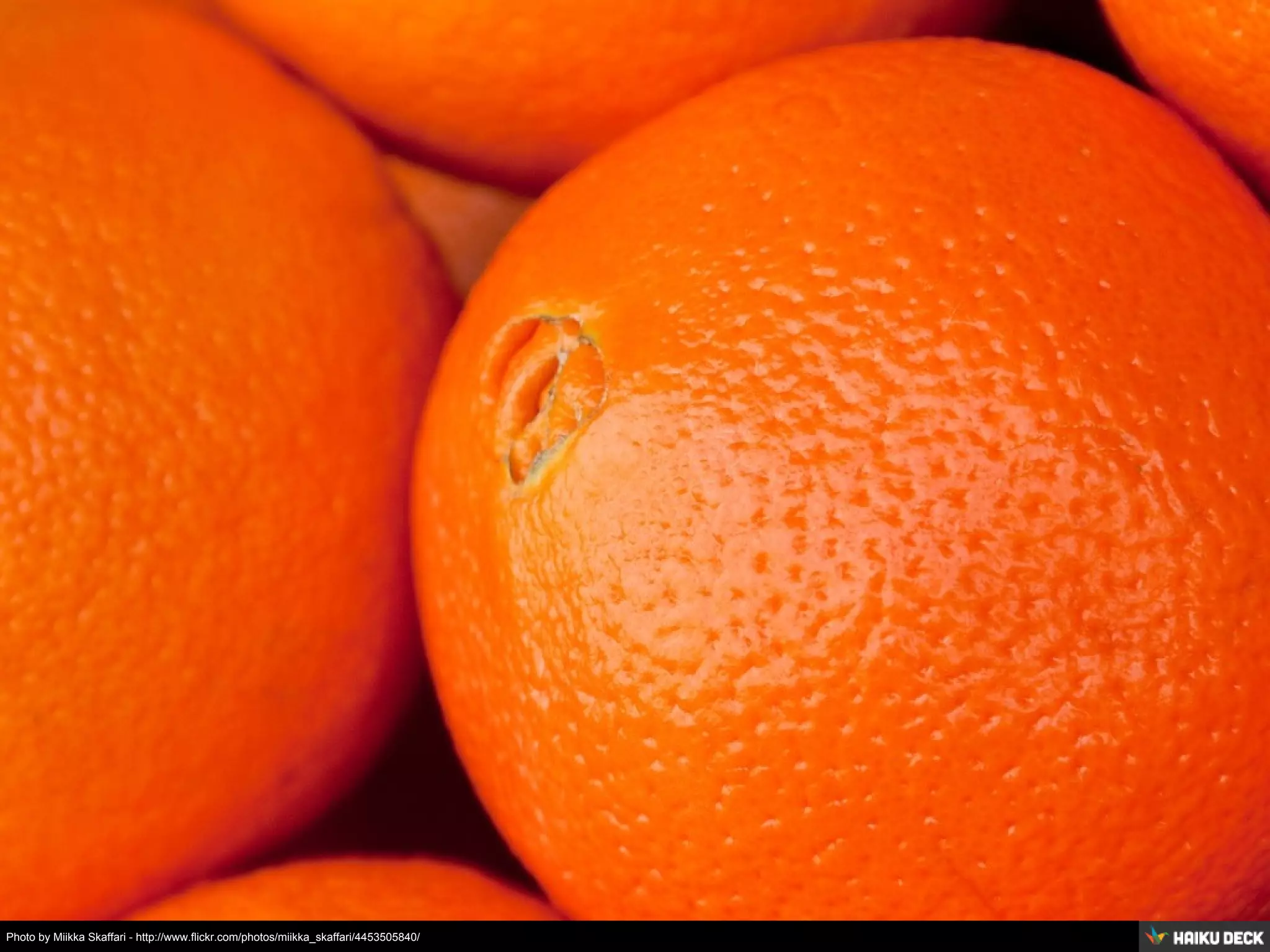 Photo by Miikka Skaffari - http://www.flickr.com/photos/miikka_skaffari/4453505840/
 