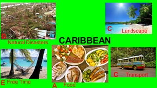 CARIBBEAN
A
C
Food
Landscape
Natural Disasters
D
E Free Time
C Transport
 