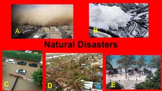 A B
C D E
Natural Disasters
 