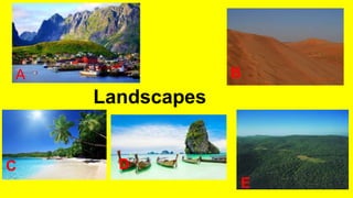 Landscapes
A B
C D
E
 