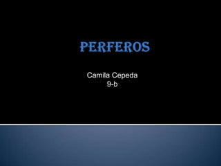 Perferos Camila Cepeda 9-b 