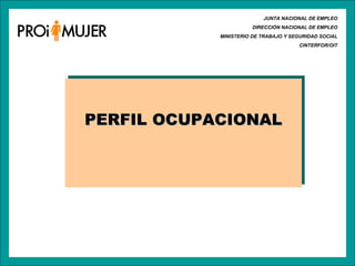 JUNTA NACIONAL DE EMPLEO DIRECCIÓN NACIONAL DE EMPLEO MINISTERIO DE TRABAJO Y SEGURIDAD SOCIAL CINTERFOR/OIT PERFIL OCUPACIONAL 