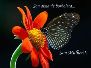 Sou alma de borboleta...




               Sou Mulher!!!
 