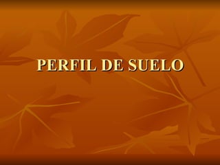 PERFIL DE SUELO 