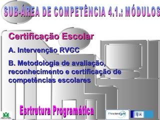 SUB-ÁREA DE COMPETÊNCIA 4.1.: MÓDULOS Certificação Escolar A. Intervenção RVCC B. Metodologia de avaliação, reconhecimento e certificação de competências escolares Esrtrutura Programática 