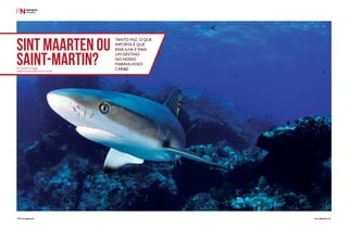 Sint Maarten ou 
Saint-Martin? 
Tanto faz. O que 
importa é que 
essa ilha é mais 
um destino 
no nosso 
maravilhoso 
Por Carolina Schrappe Caribe 
Imagens Ocean Explorers Dive Center 
120PERFILNÁUTICO PERFILNÁUTICO 121 
 