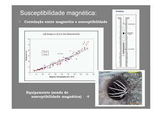 Susceptibilidade magnética:Susceptibilidade magnética:
• Correlação entre magnetita e susceptibilidade
Equipamento (sonda de
tibilid d éti )susceptibilidade magnética)
 
