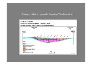 Seção geológica típica do depósito Yandicoogina.
 