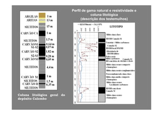 Perfil de gama natural e resistividade e
coluna litológica
(descrição dos testemuihos)(descrição dos testemuihos)
Coluna litológica geral dog g
depósito Calombo
 