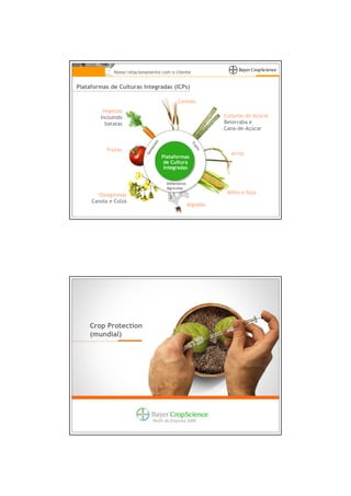 Nosso relacionamento com o cliente


Plataformas de Culturas Integradas (ICPs)

                                            Cereais
         Vegetais
        incluindo                                             Culturas de Açúcar
          batatas                                             Beterraba e
                                                              Cana-de-Açúcar



                                es




                                                     Tr
                              nt




                                                       ai
           Frutas           me




                                                         ts
                                                                Arroz
                           Se

                                     Plataformas
                                      de Cultura
                                      Integradas


                                       Defensívos
                                       Agrícolas
       Oleaginosas                                             Milho e Soja
     Canola e Colza
                                                    Algodão




    Crop Protection
    (mundial)




                                Perfil da Empresa 2009
 