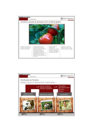 BioScience

Nunhems: posição de destaque entre as líderes globais




Nunhems é o negócio de   A Nunhems desenvolve e           2500 variedades de        Liderança no mercado
sementes de hortaliças   comercializa sementes de         hortaliças são            global de cenoura, cebola,
da Bayer CropScience     hortaliças de alta qualidade e   produzidas por meio de    melão, alho-poró e pepino
                         oferece serviços para            técnicas convencionais
                         agricultores profissionais,      e híbridas, abrangendo
                         propagadores de plantas,         28 tipos de hortaliças
                         comerciantes de sementes e de
                         produtos frescos e para a
                         indústria de processamento de
                         alimentos




                    BioScience

Distribuição de Produtos
Nunhems: posição de destaque entre as líderes globais

                                        Indústria da Ciências                  Processadores,
                                        Agrícolas, empresas de                 comerciantes de grãos
                                        sementes e reprodutores
                                                                               Fabricantes
                                                                               Varejistas

       Sementes e Traits
     da Bayer CropScience
                                        Agricultores, usuários                     Consumidores
 