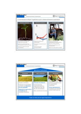 Desenvolvimento Sustentável

A contribuição da Bayer CropScience para o desenvolvimento sustentável

      Benefícios ambientais                  Benefícios econômicos                Benefícios sociais




Gerenciamento de pragas alvo             Melhoria da eficiência &         Oferta ao consumidor da
& agricultura de precisão                produtividade                    possibilidade de escolher produtos
                                                                          agrícolas a preços razoáveis
Melhoria da produtividade das            Otimização do uso dos recursos
terras agrícolas conserva os habitats    naturais                         Melhoria da qualidade de vida
                                                                          dos agricultores
Proteção & melhoria da saúde             Redução das perdas
do ecossistema                           pré e pós-colheita               Melhoria da saúde pública & higiene




                       Desenvolvimento Sustentável


                                        Agricultura Sustentável

            Economia                          Meio ambiente                         Sociedade




 Soluções inovadoras                    Proteção do ambiente              Alimentos de baixo custo
                                                                          em quantidades
 Produção de quantidades                Conservação dos                   suficientes
 suficientes de alimentos               organismos benéficos
 de alta qualidade                      e organismos que não              Evitar desmatamento
                                        são alvo dos produtos             resultante da crescente
 Adaptação da agricultura                                                 produtividade agrícola
 às mudanças das                        Baixo consumo de recursos
 condições climáticas




                               Todas as metas são de igual importância
 
