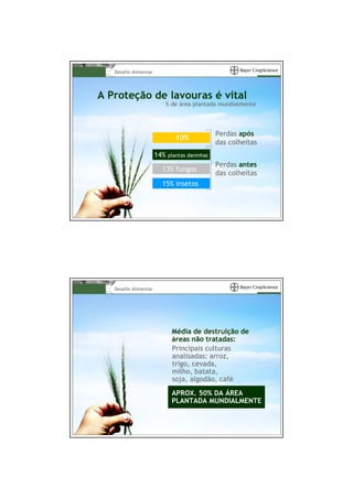 Desafio Alimentar




A Proteção de lavouras é vital
                          % de área plantada mundialmente




                                                Perdas após
                               10%
                                                das colheitas
                       14%   plantas daninhas
                                                Perdas antes
                         13% fungos
                                                das colheitas
                         15% insetos




   Desafio Alimentar




                              Média de destruição de
                              áreas não tratadas:
                              Principais culturas
                              analisadas: arroz,
                              trigo, cevada,
                              milho, batata,
                              soja, algodão, café
                              APROX. 50% DA ÁREA
                              PLANTADA MUNDIALMENTE
 