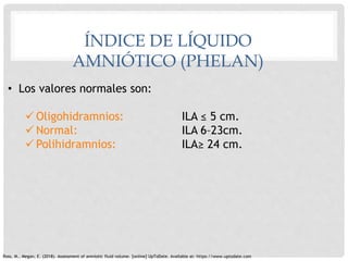 Phelan Normal perfil biofisico.pptx