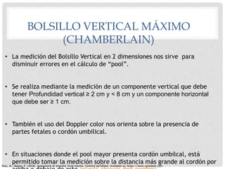 BOLSILLO VERTICAL MÁXIMO
(CHAMBERLAIN)
Ross, M., Megan, E. (2018). Assessment of amniotic fluid volume. [online] UpToDate....