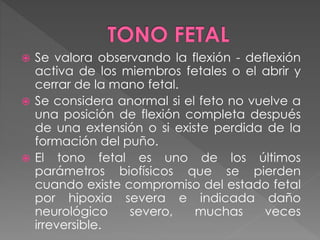  Se valora observando la flexión - deflexión
activa de los miembros fetales o el abrir y
cerrar de la mano fetal.
 Se considera anormal si el feto no vuelve a
una posición de flexión completa después
de una extensión o si existe perdida de la
formación del puño.
 El tono fetal es uno de los últimos
parámetros biofísicos que se pierden
cuando existe compromiso del estado fetal
por hipoxia severa e indicada daño
neurológico severo, muchas veces
irreversible.
 