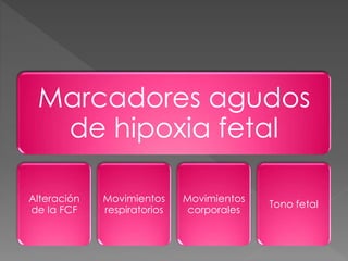 Marcadores agudos
de hipoxia fetal
Alteración
de la FCF
Movimientos
respiratorios
Movimientos
corporales
Tono fetal
 