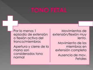 Por lo menos 1
episodio de extensión
o flexión activa del
tronco/miembros
Apertura y cierre de la
mano son
considerados tono
normal
Movimientos de
extensión/flexión muy
lento.
Movimiento de los
miembros en
extensión completa
Ausencia de mov.
Fetales
 