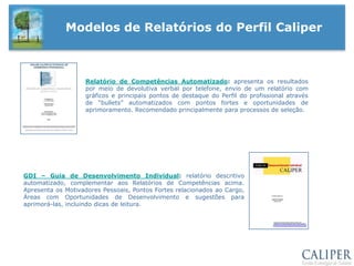 TécnicoPodem ser agrupados formando relatórios de dinâmicas conjugadas, ex: Gerencial e Vendas, Atendimento e Vendas.