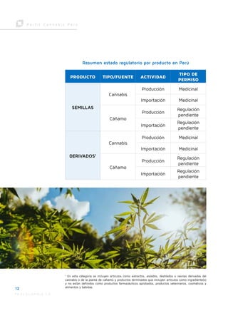 perfil_cannabis_2023_PERU.pdf