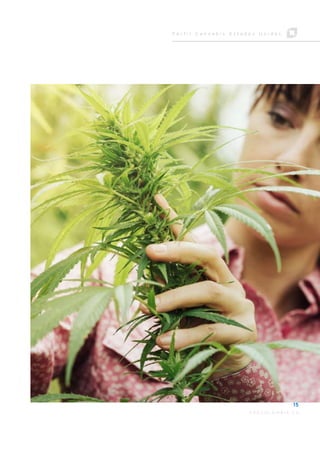 perfil_cannabis_EEUU.pdf