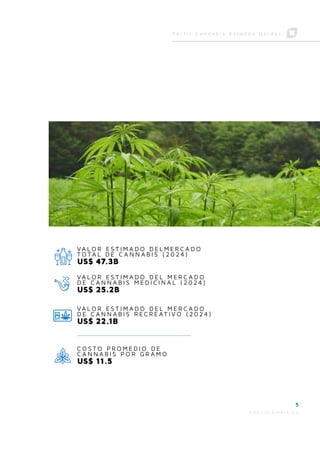 perfil_cannabis_EEUU.pdf