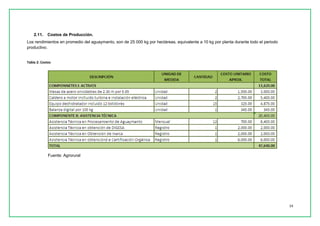 14 
2.11. Costos de Producción. 
Los rendimientos en promedio del aguaymanto, son de 25 000 kg por hectáreas, equivalente a 10 kg por planta durante todo el periodo productivo. 
Tabla 2: Costos 
Fuente: Agrorural  