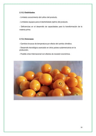 18 
2.13.3 Debilidades 
- Limitado conocimiento del cultivo del producto. 
- Limitados equipos para el deshidratado óptimo del producto. 
- Deficiencias en el desarrollo de capacidades para la transformación de la materia prima. 
2.13.4 Amenazas 
- Cambios bruscos de temperatura por efecto del cambio climático. 
- Desarrollo tecnológico avanzado en otros países sudamericanos en la producción. 
- Posible crisis Internacional con efectos de recesión económica. 
 