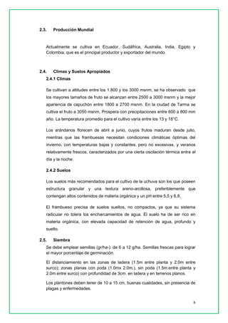 6 
2.3. Producción Mundial 
Actualmente se cultiva en Ecuador, Sudáfrica, Australia, India, Egipto y Colombia, que es el principal productor y exportador del mundo. 
2.4. Climas y Suelos Apropiados 
2.4.1 Climas 
Se cultivan a altitudes entre los 1.800 y los 3000 msnm, se ha observado que los mayores tamaños de fruto se alcanzan entre 2500 a 3000 msnm y la mejor apariencia de capuchón entre 1800 a 2700 msnm. En la ciudad de Tarma se cultiva el fruto a 3050 msnm, Prospera con precipitaciones entre 600 a 800 mm año. La temperatura promedio para el cultivo varía entre los 13 y 18°C. Los arándanos florecen de abril a junio, cuyos frutos maduran desde julio, mientras que las frambuesas necesitan condiciones climáticas óptimas del invierno, con temperaturas bajas y constantes, pero no excesivas, y veranos relativamente frescos, caracterizados por una cierta oscilación térmica entre el día y la noche. 
2.4.2 Suelos 
Los suelos más recomendados para el cultivo de la uchuva son los que poseen estructura granular y una textura areno-arcillosa, preferiblemente que contengan altos contenidos de materia orgánica y un pH entre 5,5 y 6,8. 
El frambueso precisa de suelos sueltos, no compactos, ya que su sistema radicular no tolera los encharcamientos de agua. El suelo ha de ser rico en materia orgánica, con elevada capacidad de retención de agua, profundo y suelto. 
2.5. Siembra 
Se debe emplear semillas (gr/ha-): de 6 a 12 g/ha. Semillas frescas para lograr el mayor porcentaje de germinación. 
El distanciamiento en las zonas de ladera (1.5m entre planta y 2.0m entre surco); zonas planas con poda (1.0mx 2.0m.), sin poda (1.5m.entre planta y 2.0m.entre surco) con profundidad de 3cm. en ladera y en terrenos planos. 
Los plantones deben tener de 10 a 15 cm, buenas cualidades, sin presencia de plagas y enfermedades.  