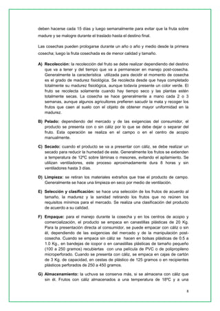 8 
deben hacerse cada 15 días y luego semanalmente para evitar que la fruta sobre madure y se malogre durante el traslado hasta el destino final. 
Las cosechas pueden prologarse durante un año o año y medio desde la primera cosecha; luego la fruta cosechada es de menor calidad y tamaño. 
A) Recolección: la recolección del fruto se debe realizar dependiendo del destino que va a tener y del tiempo que va a permanecer en manejo post-cosecha. Generalmente la característica utilizada para decidir el momento de cosecha es el grado de madurez fisiológica. Se recolecta desde que haya completado totalmente su madurez fisiológica, aunque todavía presente un color verde. El fruto se recolecta solamente cuando hay tiempo seco y las plantas estén totalmente secas. La cosecha se hace generalmente a mano cada 2 o 3 semanas, aunque algunos agricultores prefieren sacudir la mata y recoger los frutos que caen al suelo con el objeto de obtener mayor uniformidad en la madurez. 
B) Pelado: dependiendo del mercado y de las exigencias del consumidor, el producto se presenta con o sin cáliz por lo que se debe dejar o separar del fruto. Esta operación se realiza en el campo o en el centro de acopio manualmente. 
C) Secado: cuando el producto se va a presentar con cáliz, se debe realizar un secado para reducir la humedad de este. Generalmente los frutos se extienden a temperatura de 12ºC sobre láminas o mesones, evitando el apilamiento. Se utilizan ventiladores, este proceso aproximadamente dura 8 horas y sin ventiladores hasta 3 días. 
D) Limpieza: se retiran los materiales extraños que trae el producto de campo. Generalmente se hace una limpieza en seco por medio de ventilación. 
E) Selección y clasificación: se hace una selección de los frutos de acuerdo al tamaño, la madurez y la sanidad retirando los frutos que no reúnen los requisitos mínimos para el mercado. Se realiza una clasificación del producto de acuerdo a su calidad. 
F) Empaque: para el manejo durante la cosecha y en los centros de acopio y comercialización, el producto se empaca en canastillas plásticas de 20 Kg. Para la presentación directa al consumidor, se puede empacar con cáliz o sin él, dependiendo de las exigencias del mercado y de la manipulación post- cosecha. Cuando se empaca sin cáliz se hacen en bolsas plásticas de 0.5 a 1.0 Kg., en bandejas de icopor o en canastillas plásticas de tamaño pequeño (100 a 250 gramos) recubiertas con una película de PVC o de polipropileno microperforado. Cuando se presenta con cáliz, se empaca en cajas de cartón de 3 Kg. de capacidad, en cestas de plástico de 125 gramos o en recipientes plásticos perforados de 250 a 450 gramos. 
G) Almacenamiento: la uchuva se conserva más, si se almacena con cáliz que sin él. Frutos con cáliz almacenados a una temperatura de 18ºC y a una  